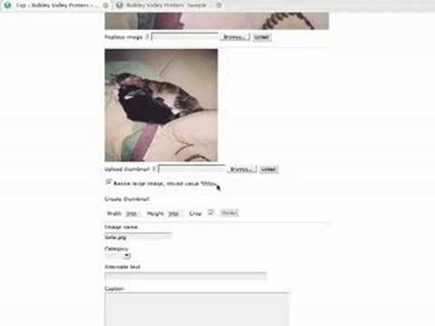 Textpattern Tutorials - 2 - Images