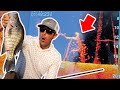 HUGE Summer Timber Crappie! Catch Clean & Cook