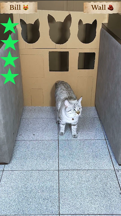 Bill got 6/9 stars ⭐️