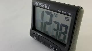 Hoseki H-2206 Timer Clock