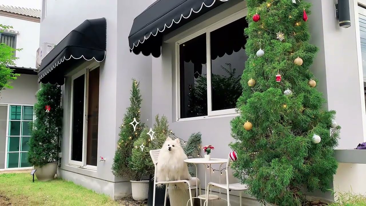 กันสาดทรงยุโรป Canopy Awning by SSS Group