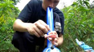 BC Big Bud and outdoor hits