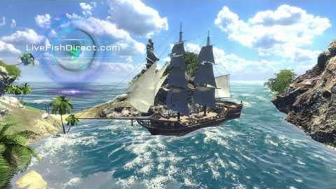 Pirate Cove Unity 3D