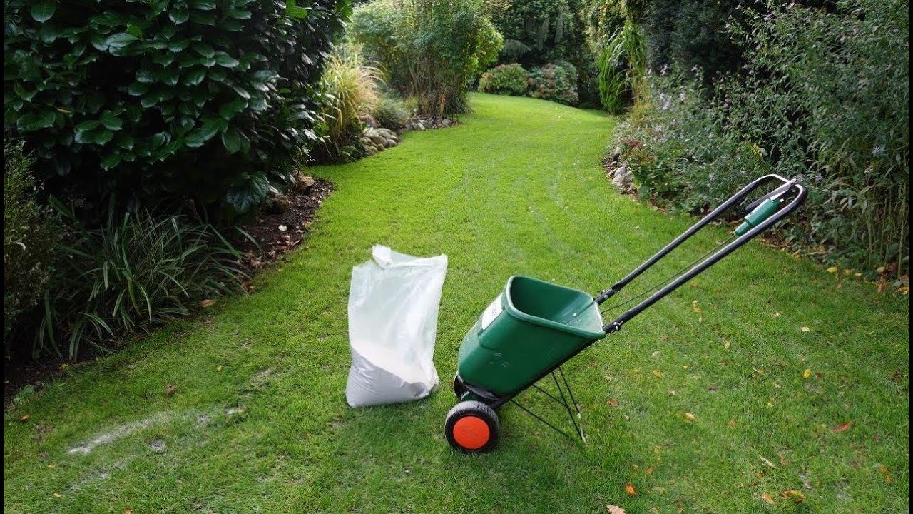 Rasensand aufbringen | Rasensanden mit dem Tellerstreuer | Rasensanden Handstreuer 🍁🍂 – NewWonder555