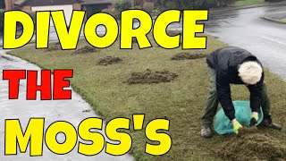 Dump MOSS in MARCH with these lawn care TIPS / Divorce the Moss’s part 2