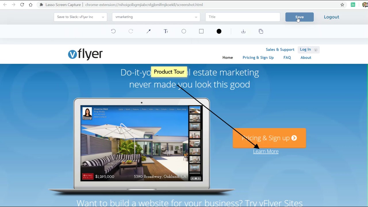 Lasso Screen Capture for software and website projects