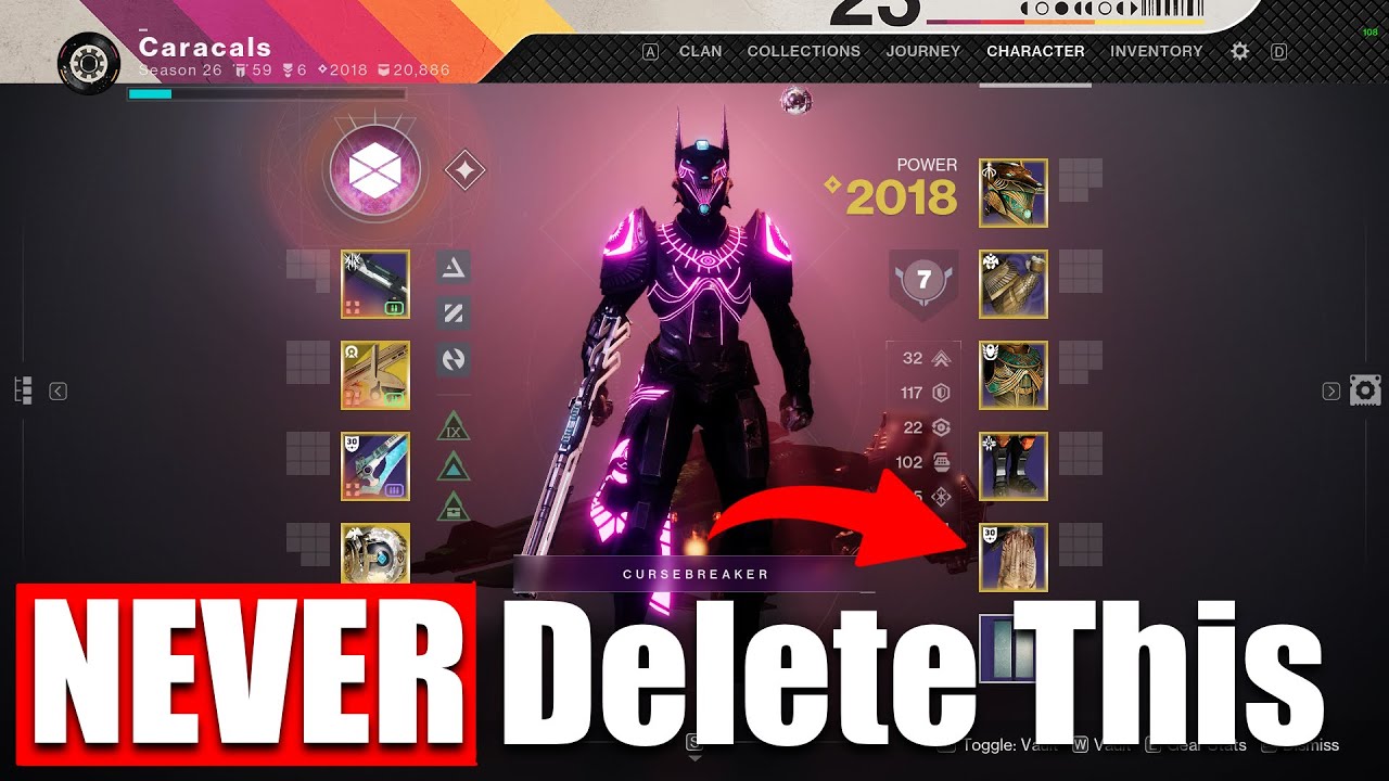 Destiny 2 Rarities 10 INSANELY Rare Things YOU Might Have in Destiny 2 - YouTube