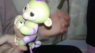 Amelia & TT open Fingerlings Baby Monkey & Mini BFFs - Jess&Eden & Danny&Gianna screenshot 5