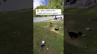 Youll Play With It For 5 Min And Never Again