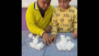 We sprouted our beans. . Şeyda YURUL Acarlar Fatih Sultan Mehmet Primary School