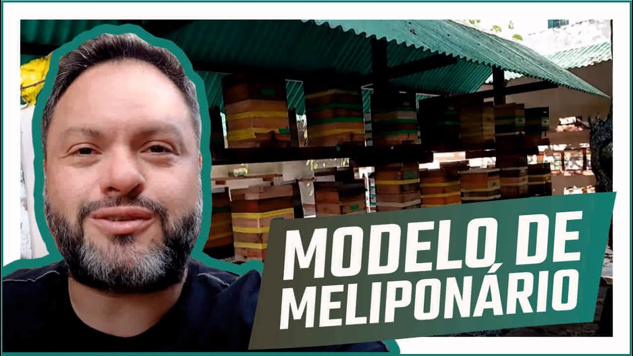 MELIPONÁRIO - APRENDA a CONSTRUIR o seu a PARTIR deste MODELO