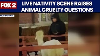 Live animal nativity scene outside church alarms residents