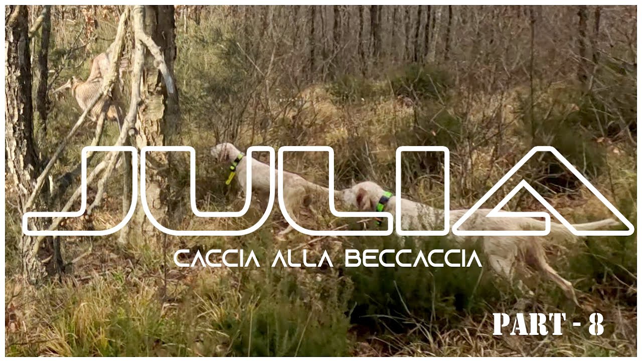 Çulluk Avı 2024 - Julia ile Muhteşem Av Serüveni Bölüm 8 Caccia alla Beccaccia con Julia Parte 8