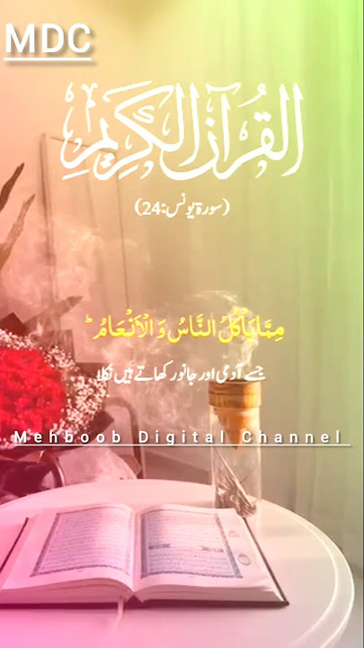 Surah Yunus Aayat 24-25  Urdu translation and Best Voice#yt #quranictranslation #quranrecitation