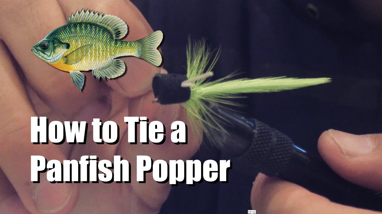 How to tie a popping fly for panfish - most effective fly for