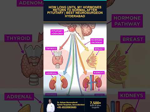When Do Hormones Return to Normal? - Best Pituitary Surgeon in Hyderabad | తెలుగు