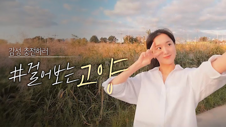 [걸어보고서 2] 필름카메라 들고 갬성여행 떠나요!! (+나만 알고 싶은 고양시 언택트여행지)