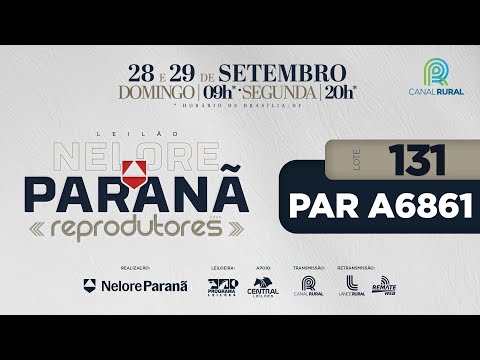 LOTE   131 PAR A6861
