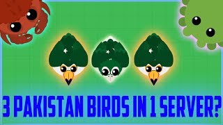 Mope.io 3 Stan Animals In 1 Server? Best Moments