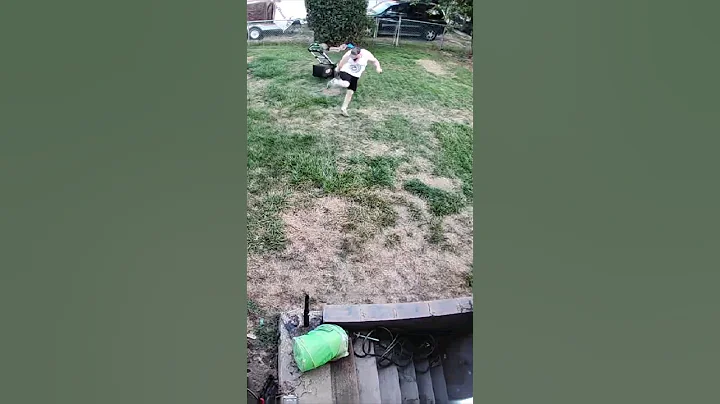 Viciously ATTACKED by SWARM of Yellow Jackets!