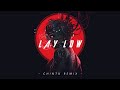 Tiesto  lay low chintu remix l future rave