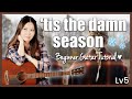 'tis the damn season 🤎 Taylor Swift 🫶 Guitar Tutorial Lesson 🎸 Chords, Strumming, Picking &amp; Guide! 📝