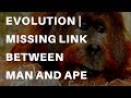 Evolution | Missing link between man and ape