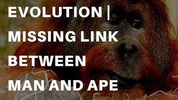 Evolution | Missing link between man and ape