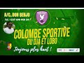 Colombe Sportive Du Dja Et Lobo Toujours Plus Haut