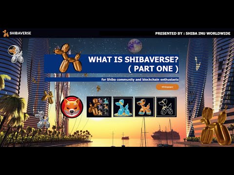 What Is Shibaverse? ( Part One )