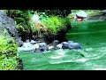 Peaceful Nature River Scene with Clear Water and Lush Greenery – 4K Wallpaper