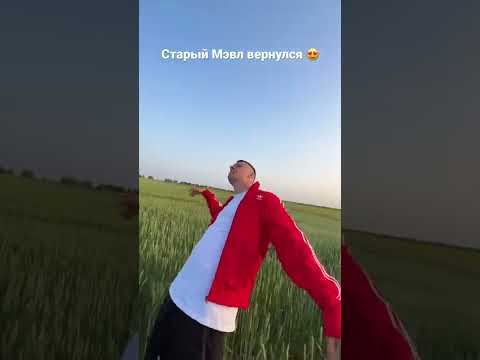 Мэвл (сниппет)