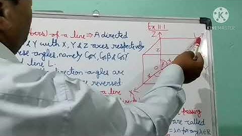 Class 12 l Three Dimensional Geometry (3D Line)(1) l Ex 11.1