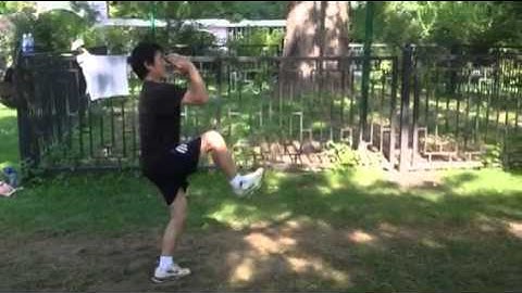 Liu He Tanglang Quan Tie Ci Master Han Yanwu