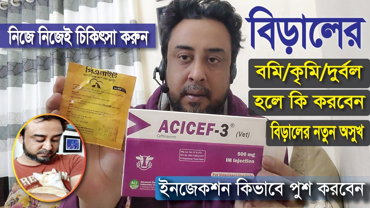 বিড়ালের বমি হওয়া এবং কৃমি হলে কিভাবে ট্রিটমেন্ট করবেন | বিড়ালের নতুন অসুখ! সম্পর্কে জানুন । সতর্ক