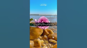 (هو الذي أرسل رسوله بالهدى ودين الحق ليظهره على الدين كله...)سورة الصف || عبد الشكور الهلال