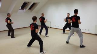 Taijiquan Vukovar 2017