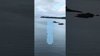 I Visited Alaska’s Secret Island Town #trending #fyourpage #youtubeshorts #officalvideo