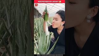 You don’t know this special quality of aloe vera gel! 😲