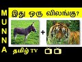 Guess These 10 Animals & Birds Names : Puzzle, புதிர்