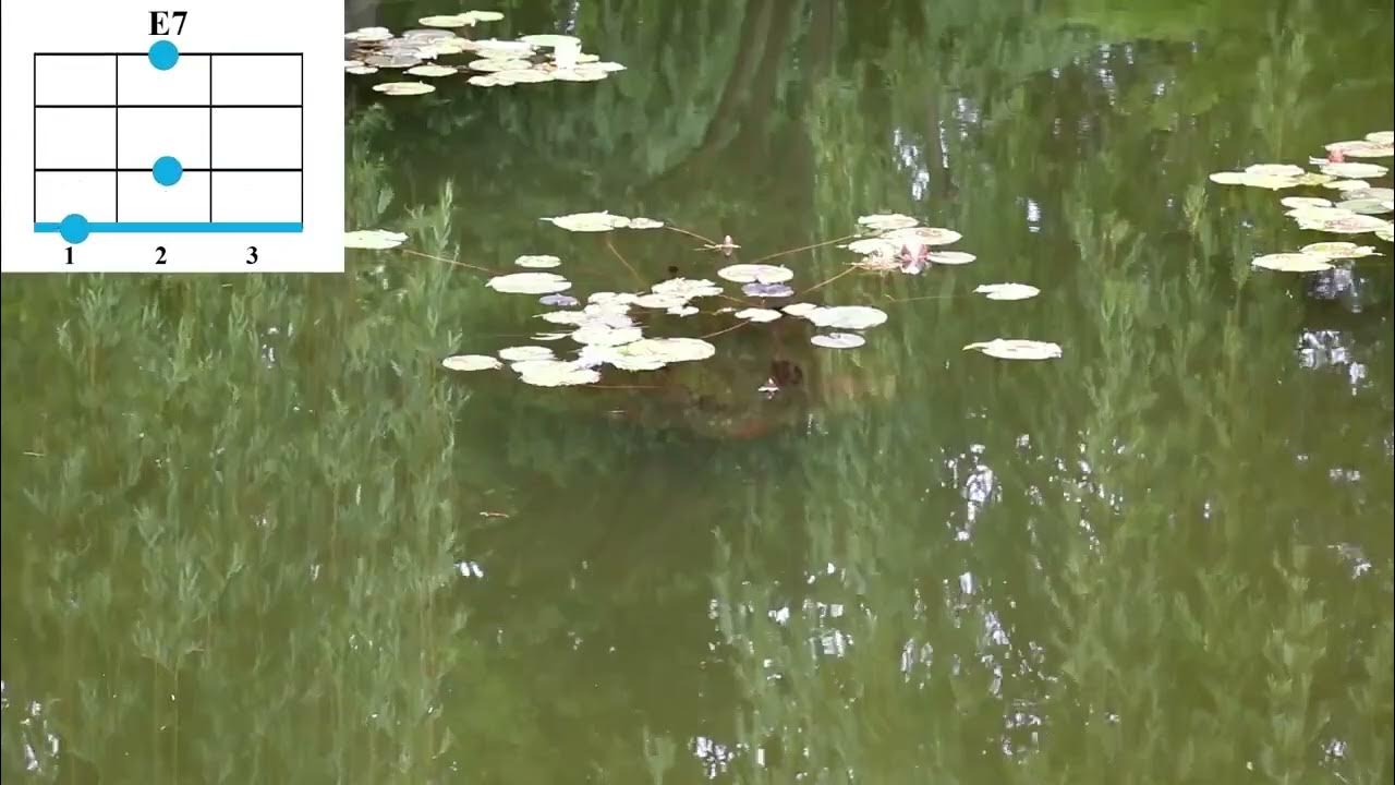 Романс черепахи Тортиллы укулеле с аккордами. Мы все поем с Жоркой ...