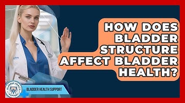 How Does Bladder Structure Affect Bladder Health? - Bladder Health Support