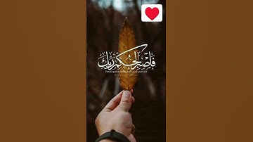 #quran #بقلب_سليم #الكتاب_المبين #خواطر_اسلامية #رضا_ورضوان #قرآن_كريم #منوعات_دينية #تلاوة_خاشعة