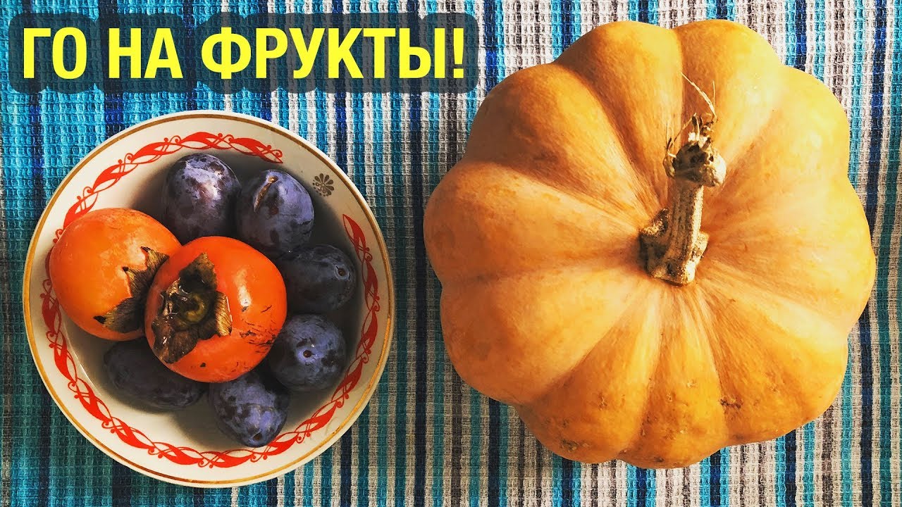 Курс на фруктоедение - YouTube