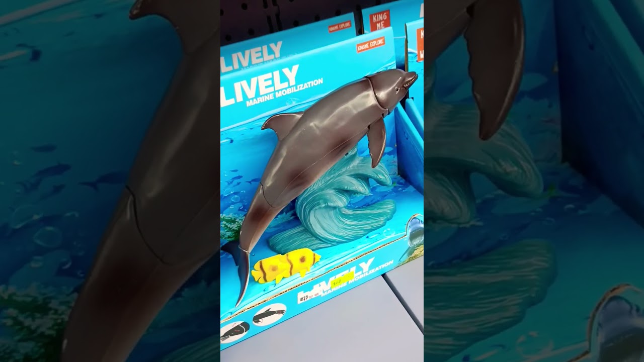 🐬 DOLPHIN TOY🐬🐬🐬