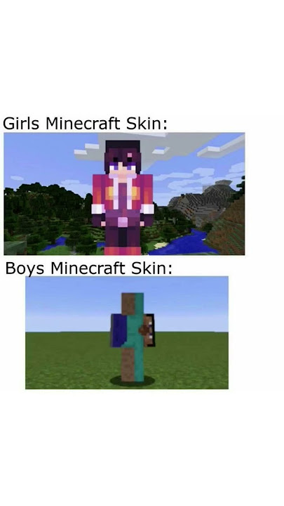 IF THIS GETS LIKES I MIGHT DO MORE!!!!!            #minecraft #memes #funny #myct