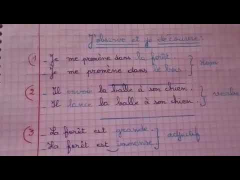 La leçon  du vocabulaire : Les synonymes hada pour ce1