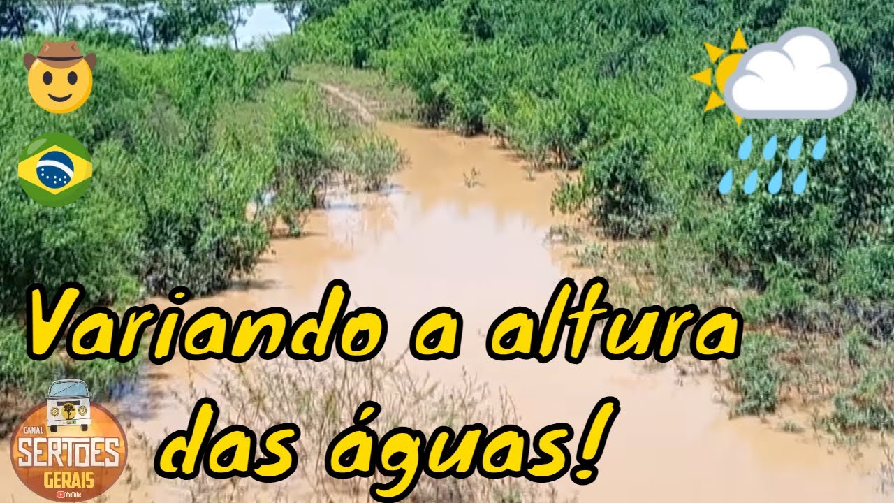 RIO SÃO FRANCISCO EM JANUÁRIA(MG). BOLETIM 09/02/2026: 