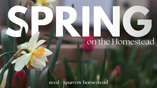 Spring Days On The Homestead | Gardening, Homemaking And Slow Living