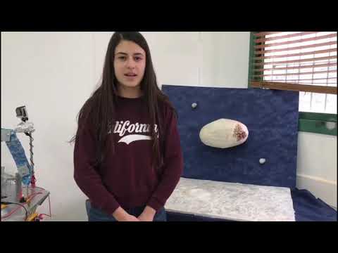 بحث الفضاء ايلان رامون المدرسة الاعداديه البقيعة